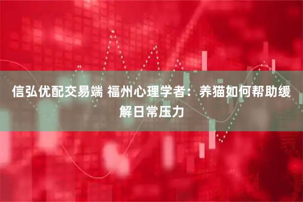 信弘优配交易端 福州心理学者：养猫如何帮助缓解日常压力