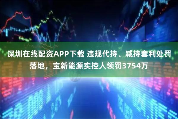 深圳在线配资APP下载 违规代持、减持套利处罚落地，宝新能源实控人领罚3754万